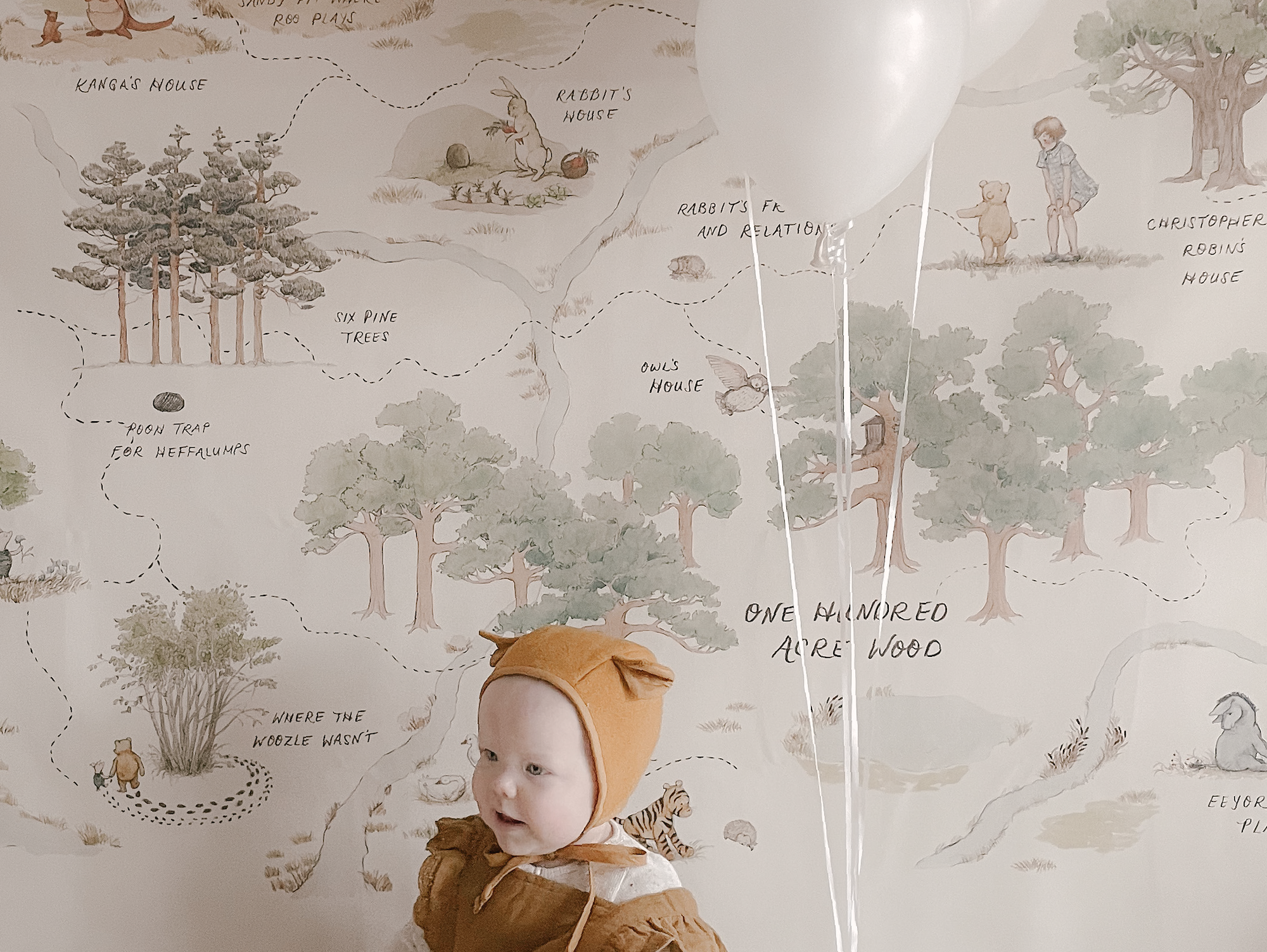 Disney’s Winnie the Pooh Party Ideas