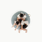 Amalfi (on sale) / Circle@overhead of kids on cushion