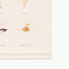 Ballet Basics (on sale)@gathre deboss on the ballet basics poster