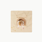 Créme (on sale)@overhead of baby in high chair on mat