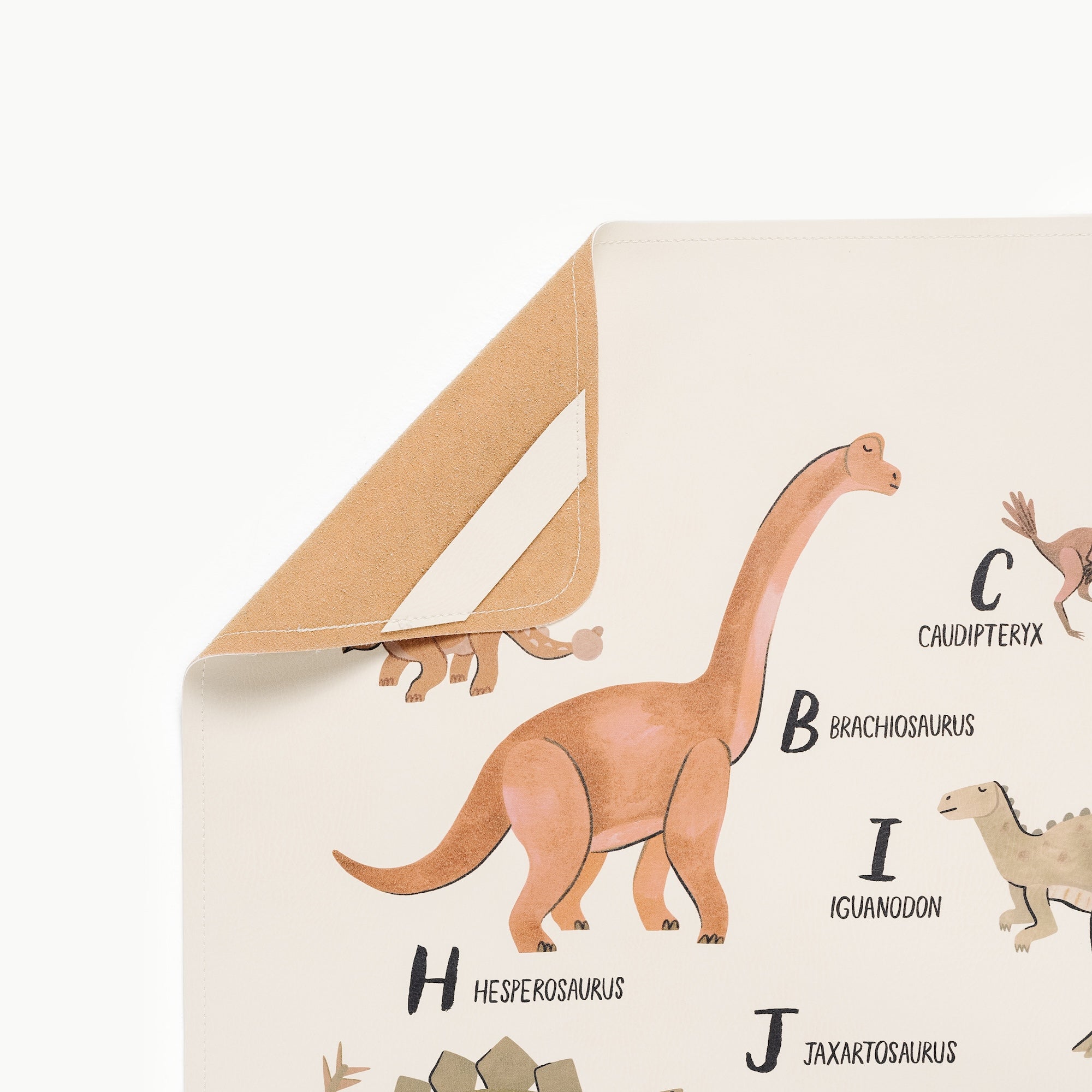 Dinosaur Alphabet (on sale)@hanging tab detail on mat