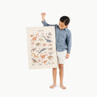 Dinosaur Alphabet@little boy holding dinosaur poster