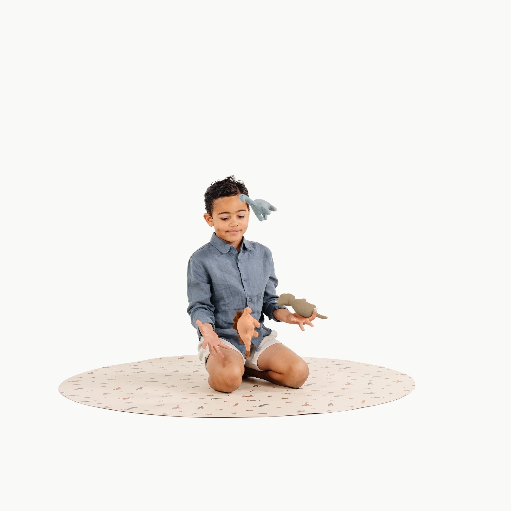 Dinosauria (on sale) / Circle@little boy playing on mat