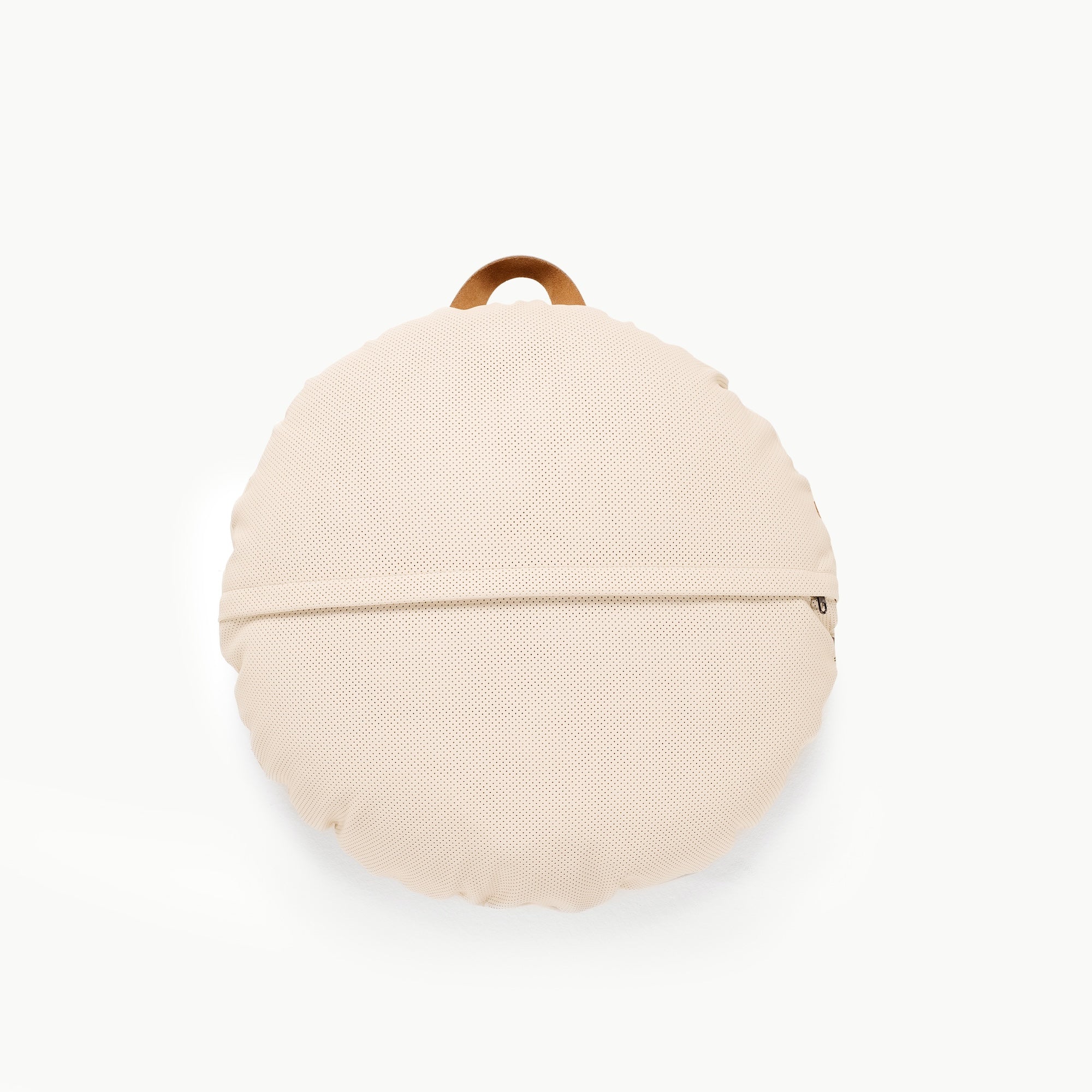 Dinosauria (on sale) / Circle@back detail