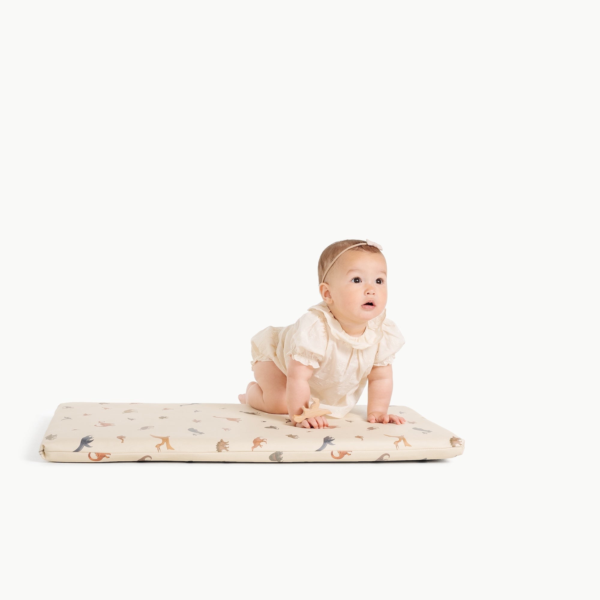 Dinosauria (on sale)@baby on padded micro+
