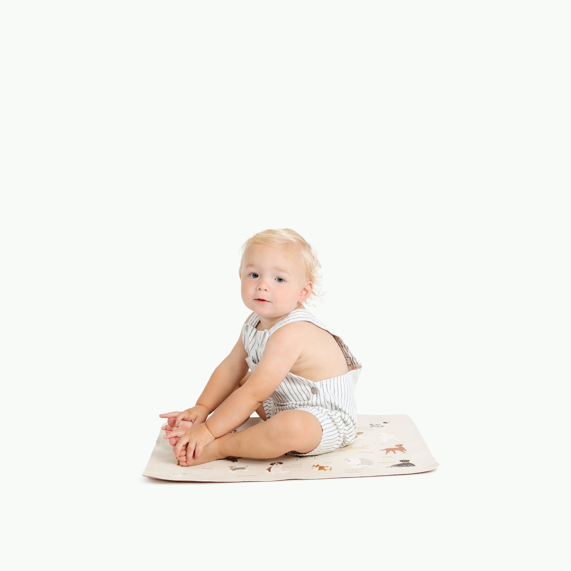 Dogs (on sale)@toddler sitting on dog micro