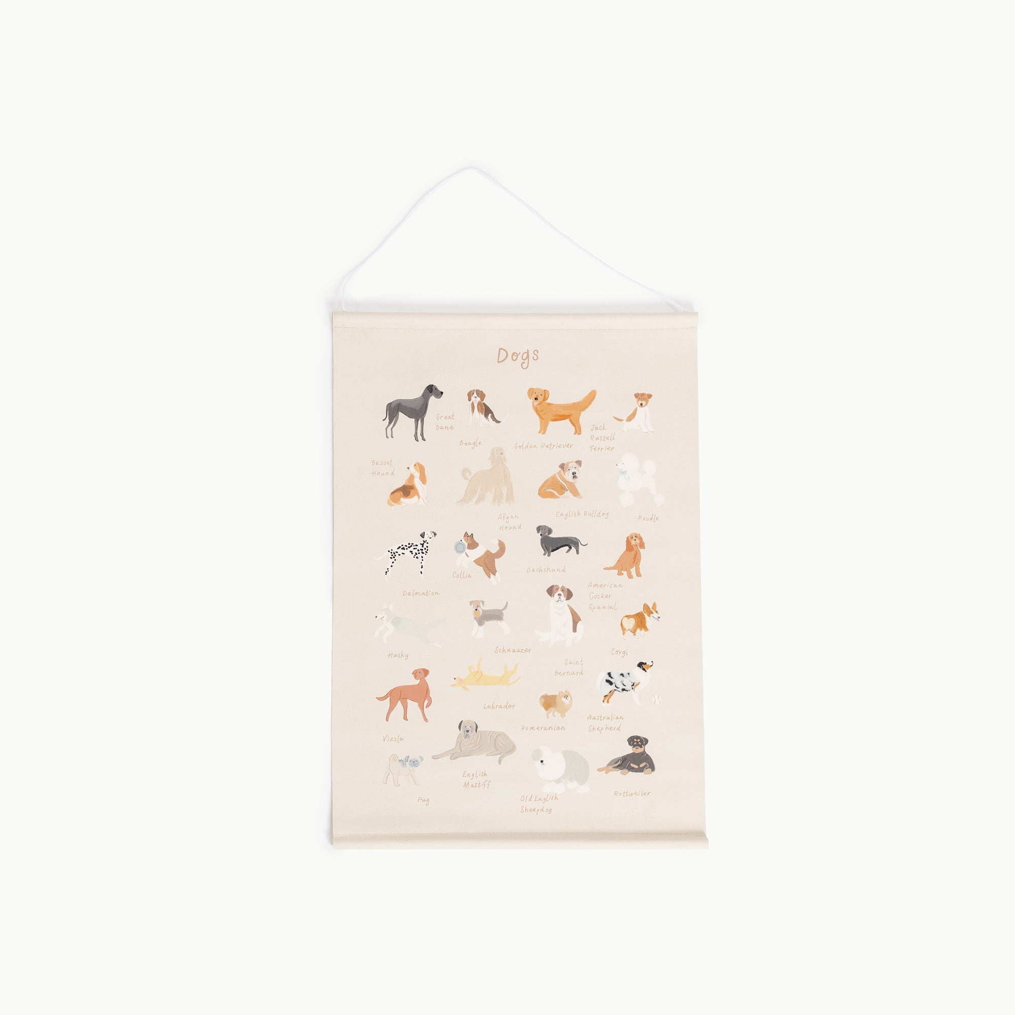 Dogs (on sale)@close up of dogs poster