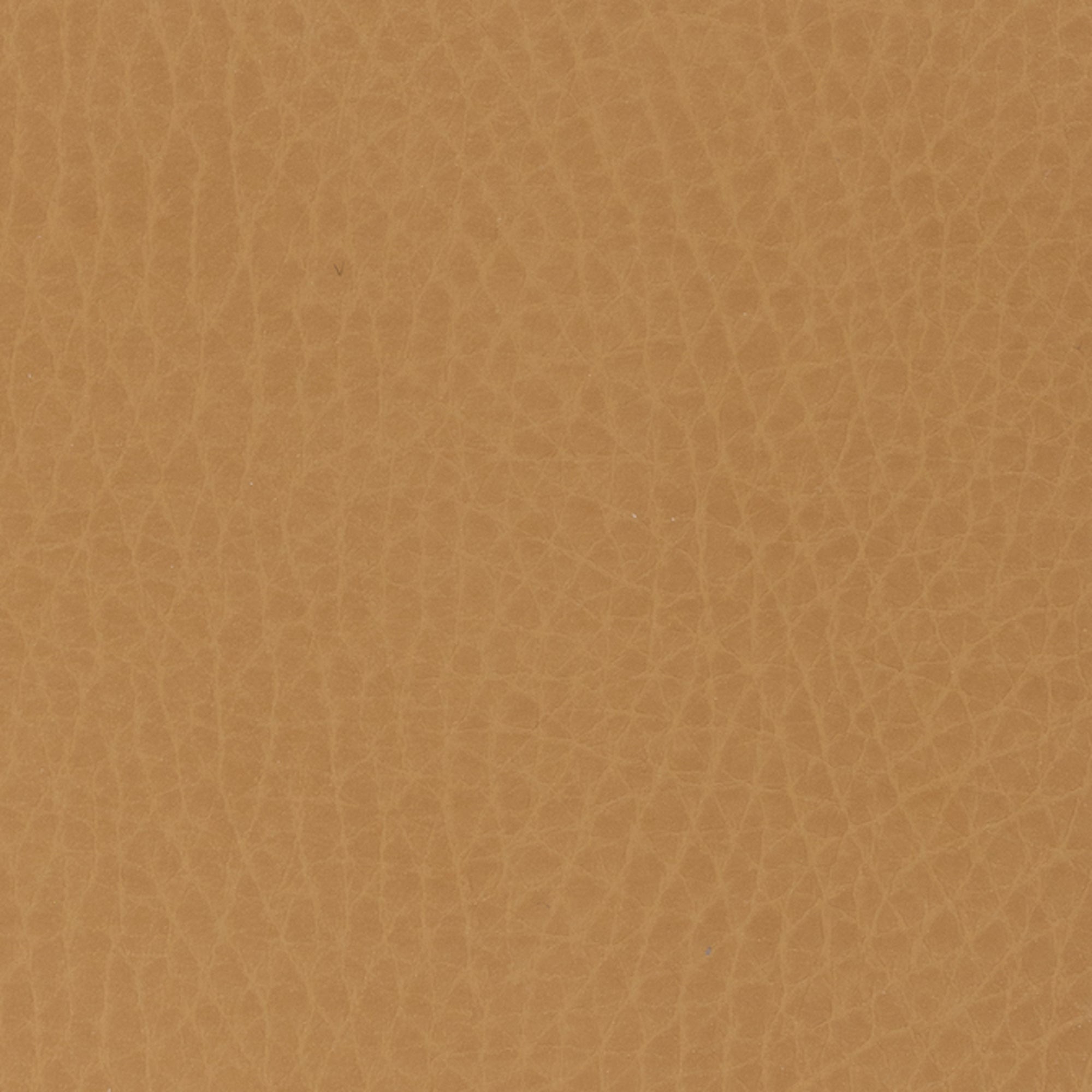 Ochre