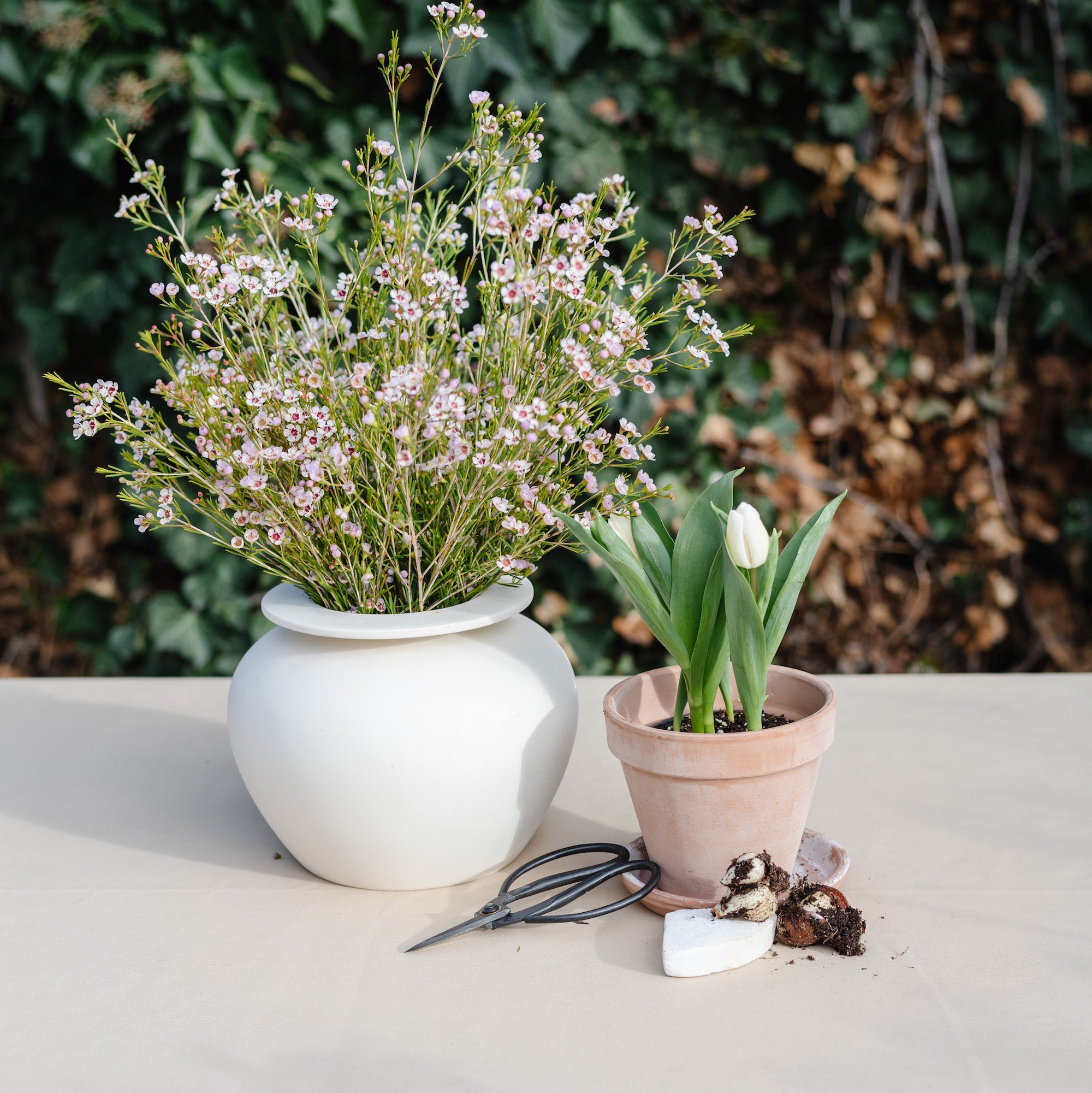Créme (on sale)@Créme Tablecloth closeup with decor