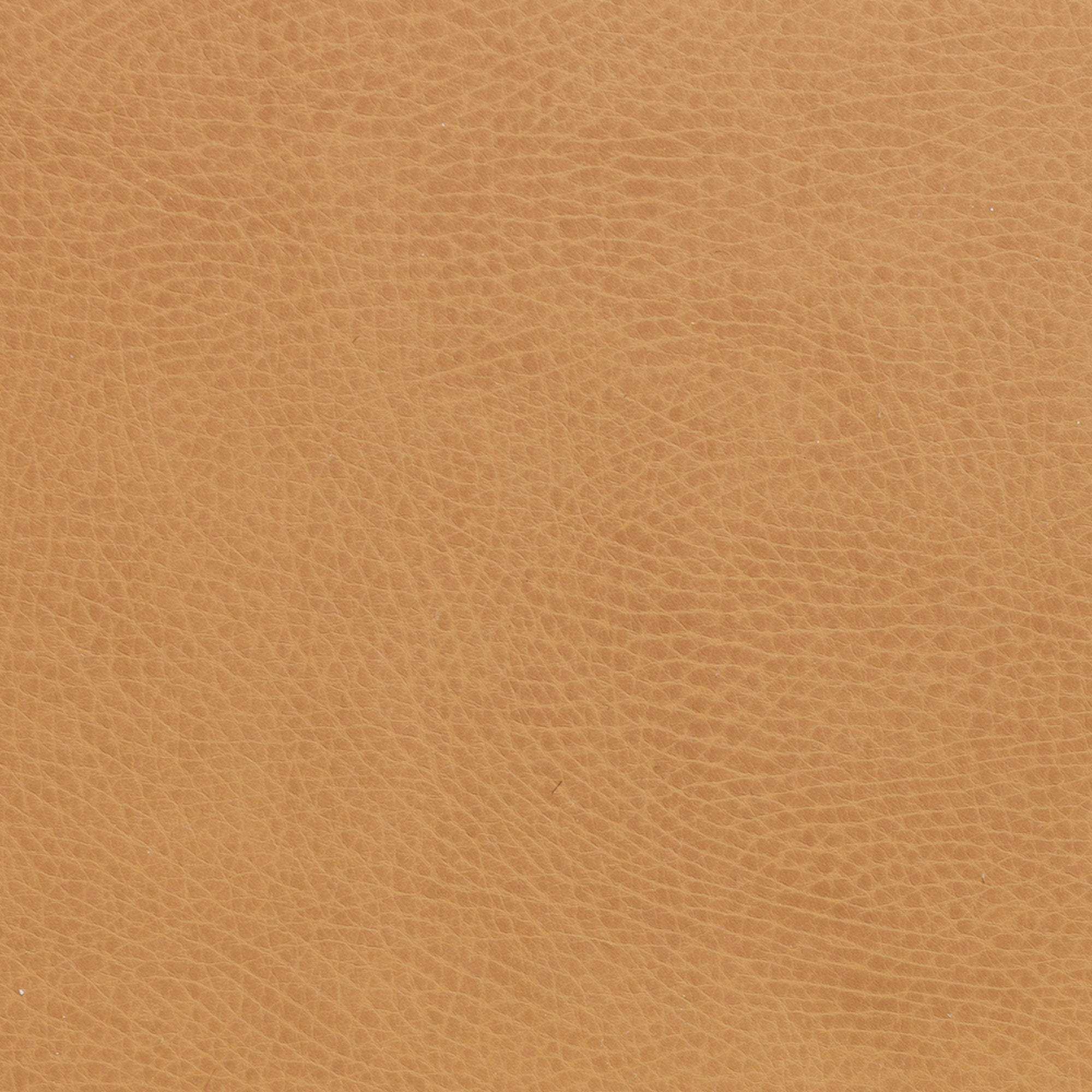 Tassel@tassel swatch