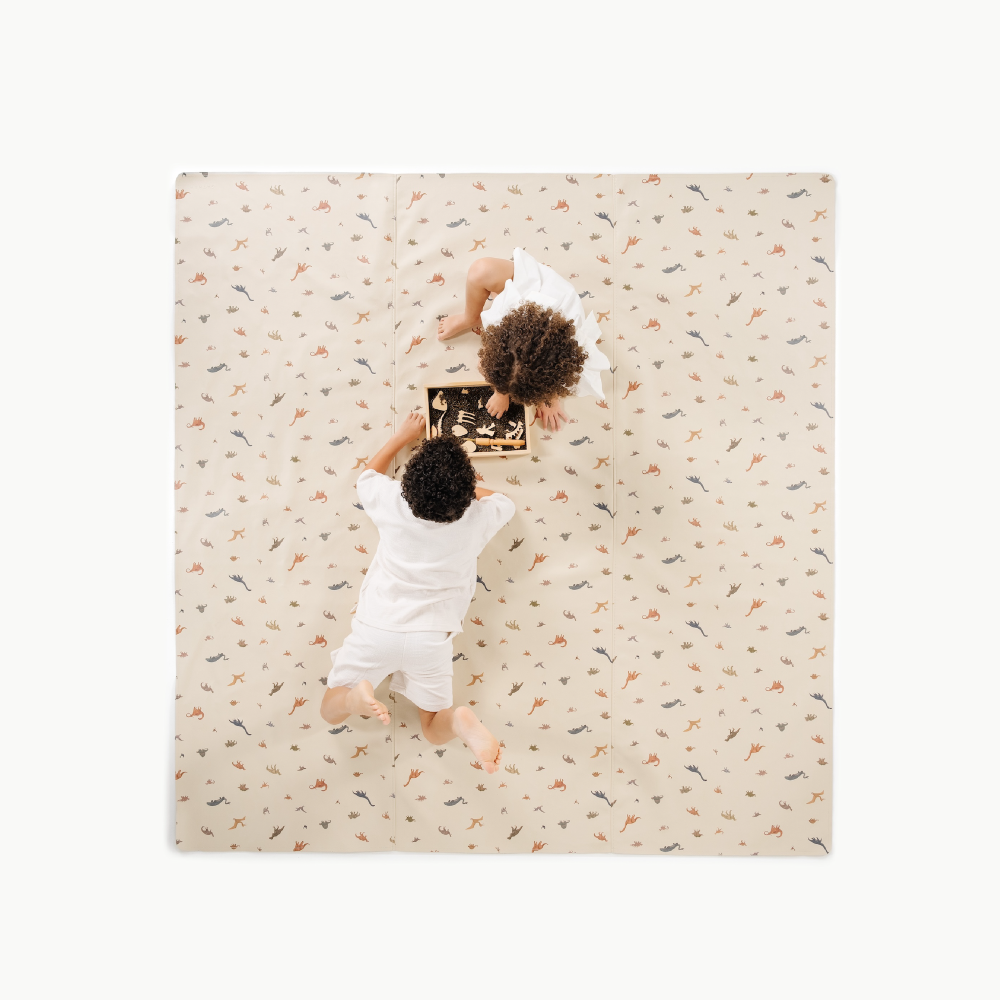 Dinosauria / Square@overhead of kids laying on mat