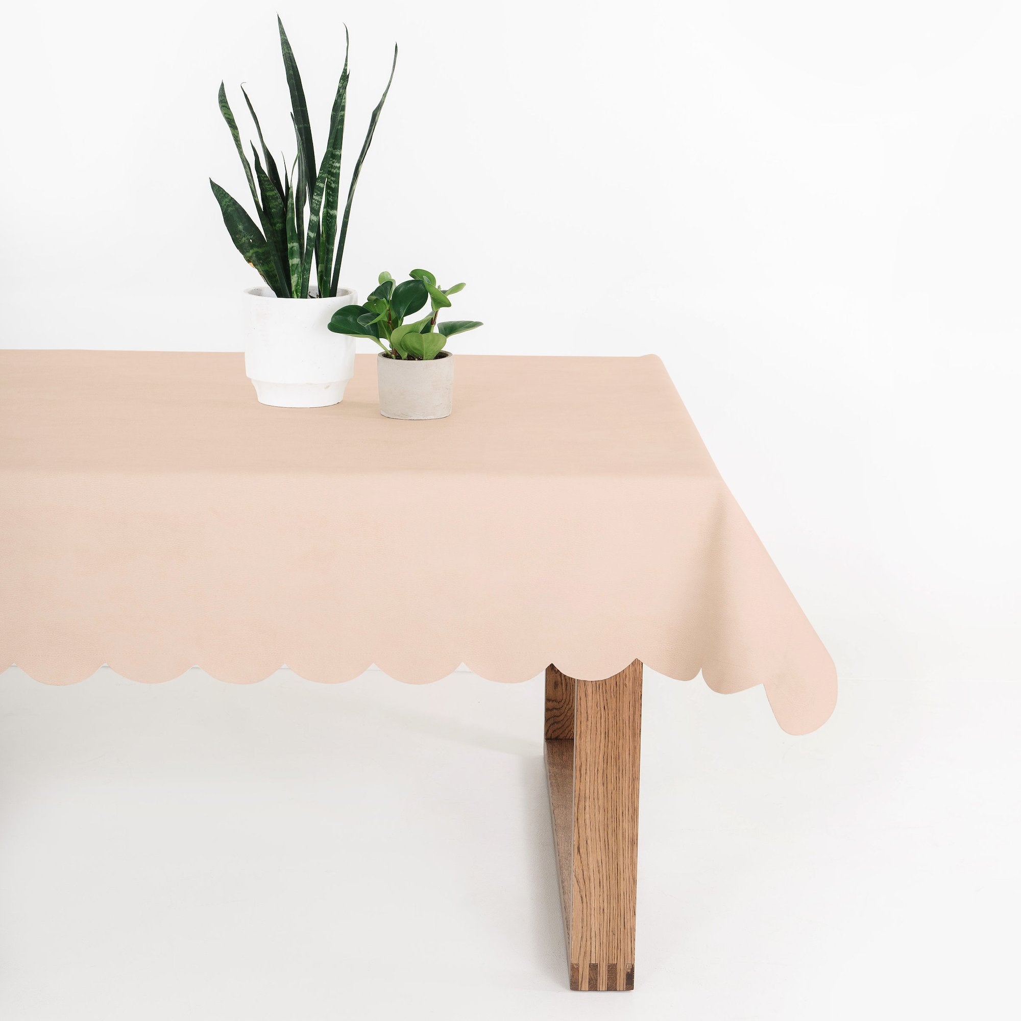 Untanned Scallop (on sale)@untanned scallop tablecloth on table