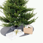 Baltic (on sale)@Baltic Tree Skirt under tree