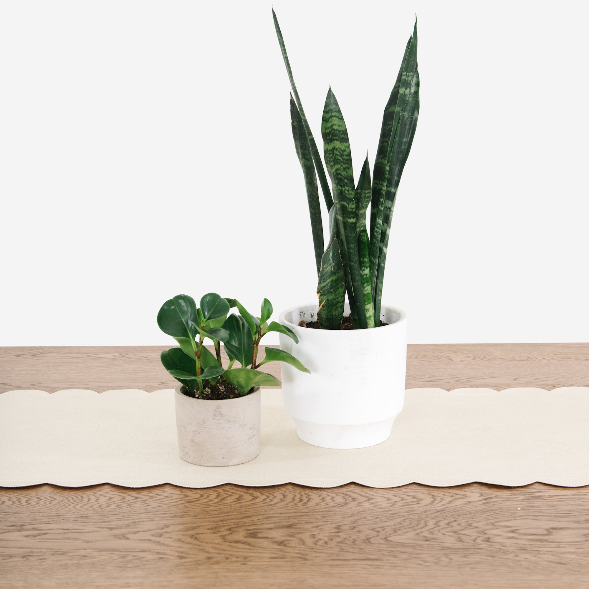 Blanc Scallop (on sale)@Up close of Blanc Scallop Table Runner on table