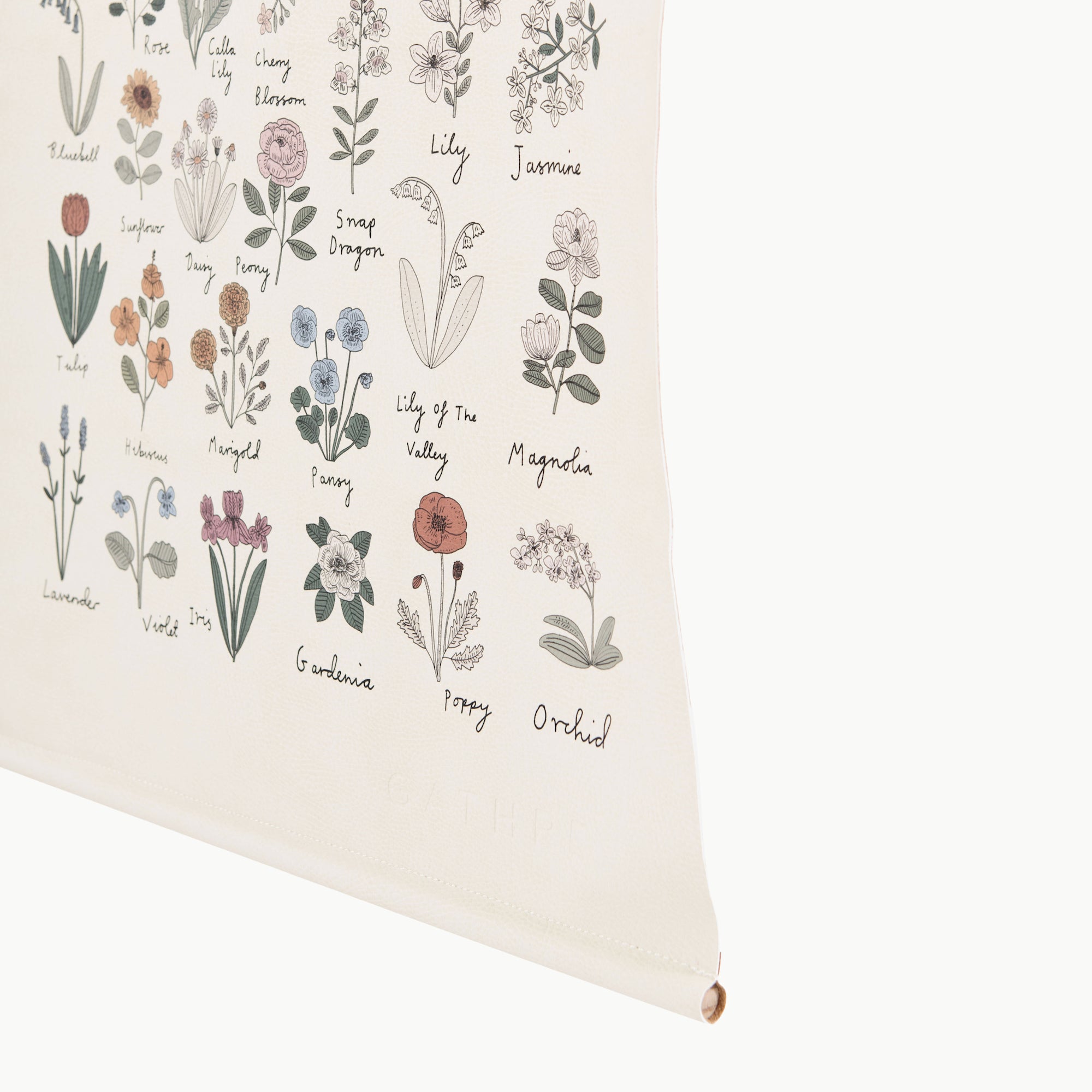 Fleurs