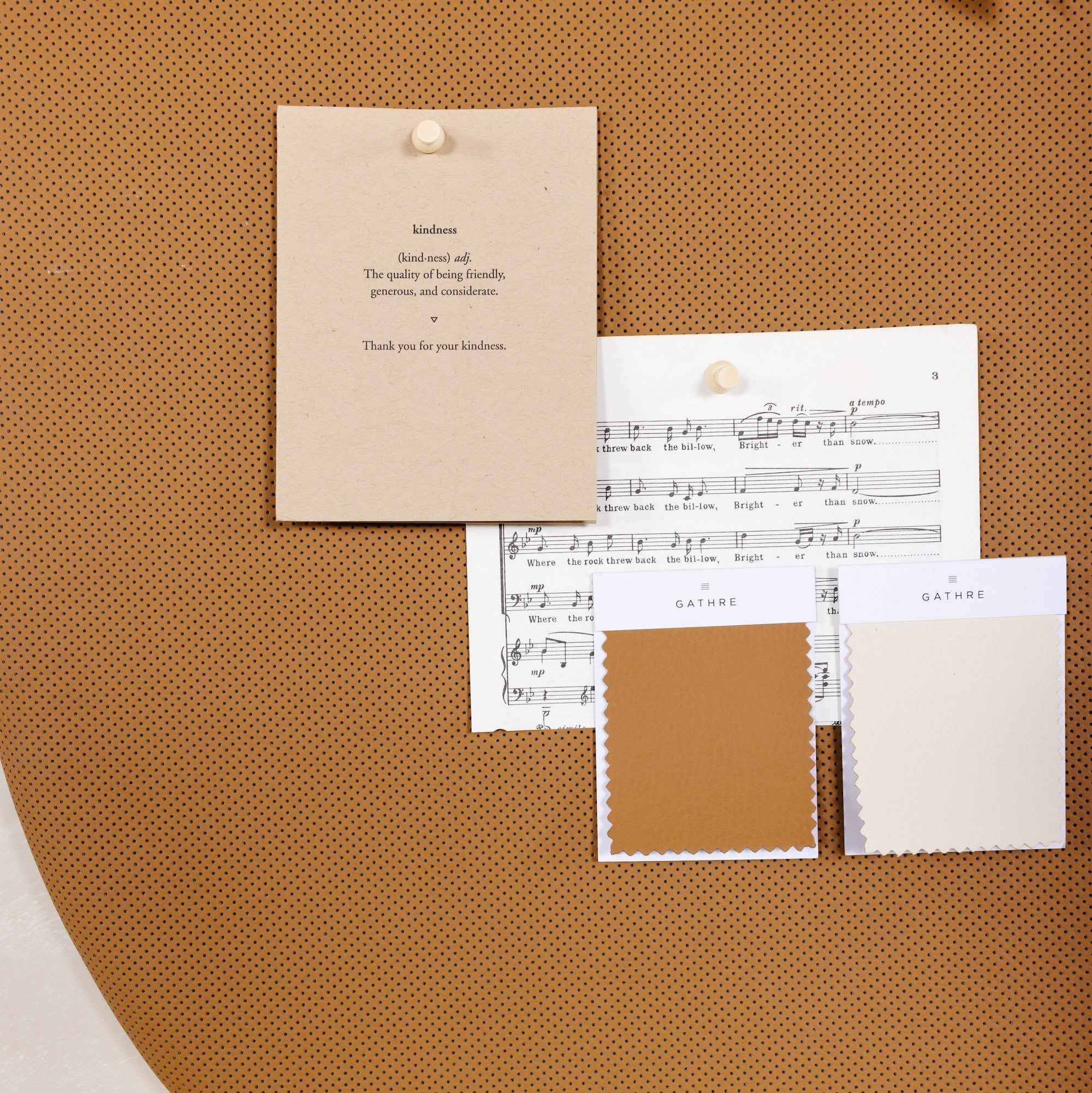 Camel@Close up of papers pinned to camel pinboard