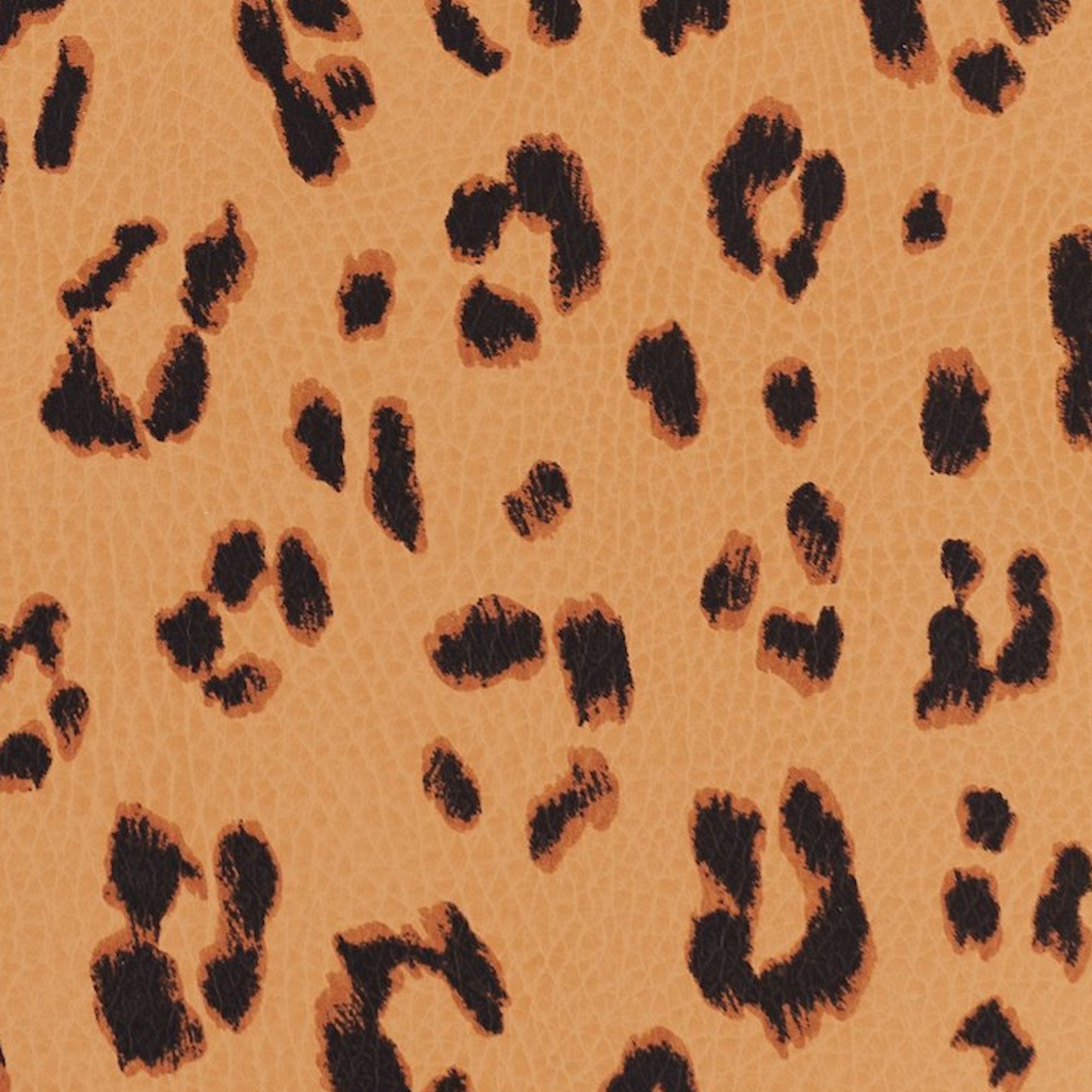 Leopard@Leopard Swatch