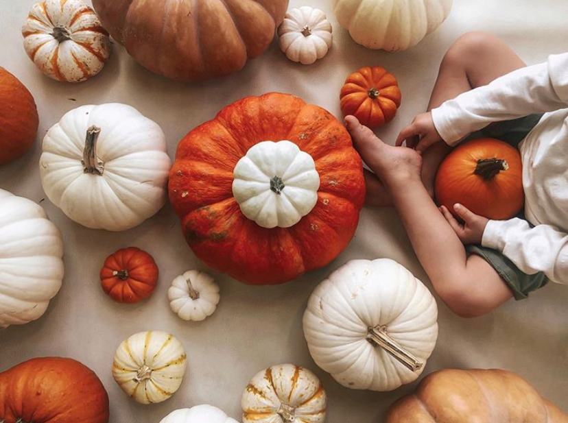 Carving Your #GathreGourds