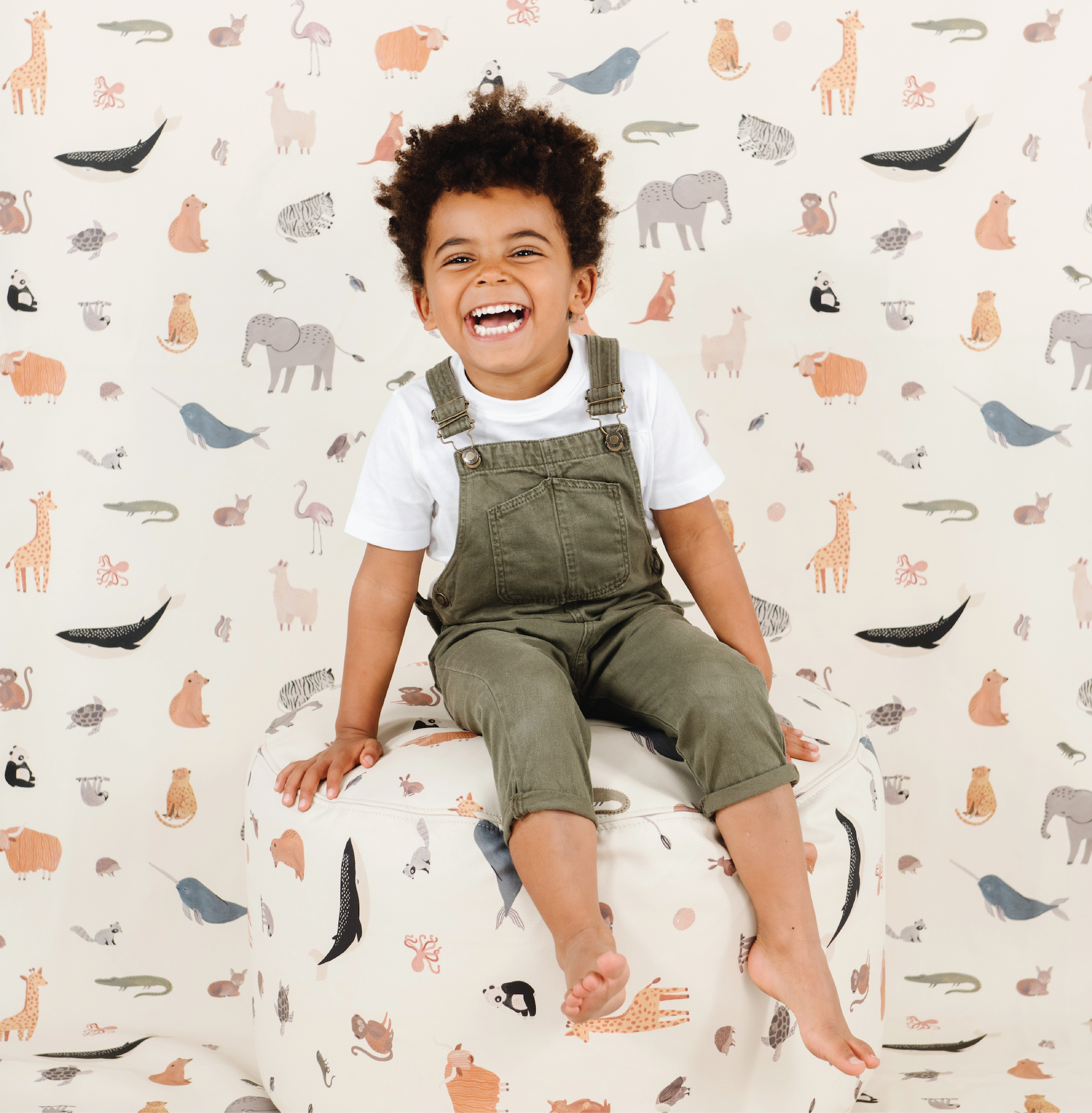 All About Animal Alphabet + Menagerie