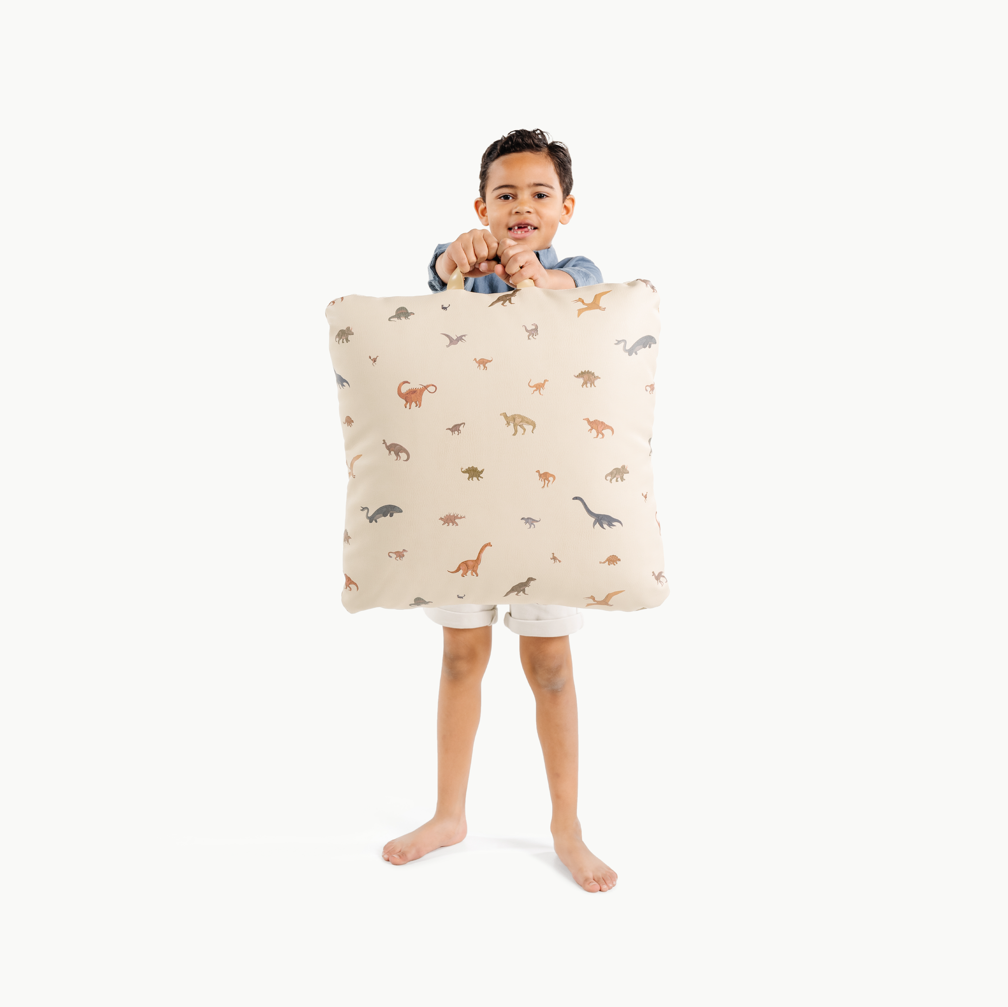 Dinosauria (on sale) / Square@little boy holding mini cushion